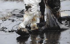 Oil Spill Recovery